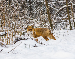 Similar image 22230965