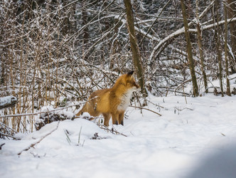 Similar image 22230966