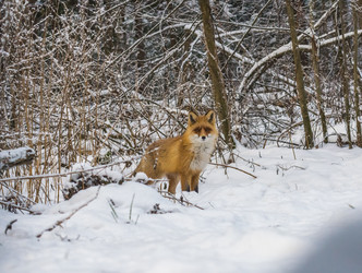 Similar image 22230967