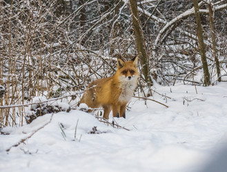 Similar image 22230968