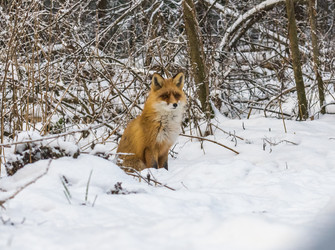 Similar image 22230970