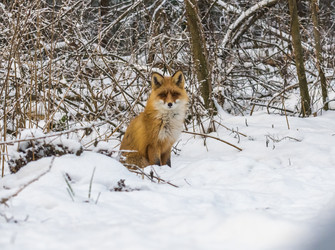 Similar image 22230971