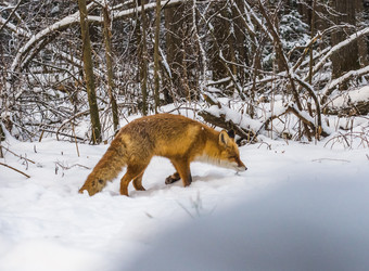 Similar image 22230972