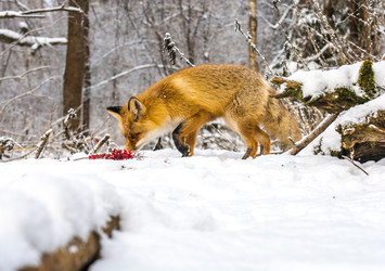 Similar image 22230974