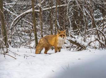 Similar image 22230976