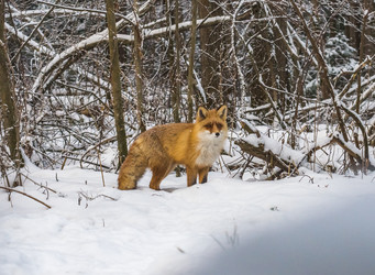 Similar image 22230977