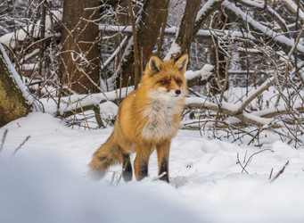 Similar image 22230978