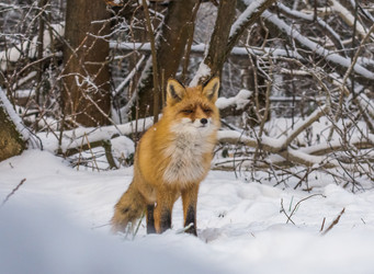 Similar image 22230979