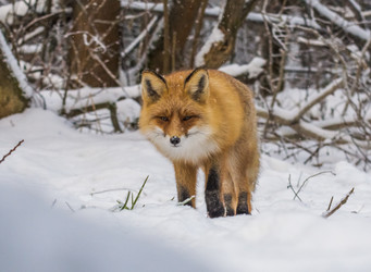 Similar image 22230982