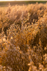 Similar image 22231369