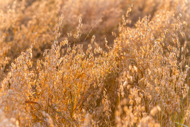 Similar image 22231371