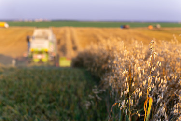 Similar image 22231372