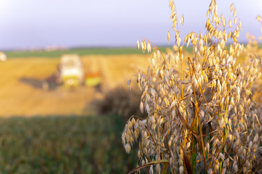 Similar image 22231374