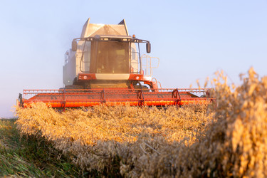 Similar image 22231379