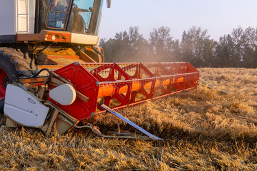 Similar image 22232373