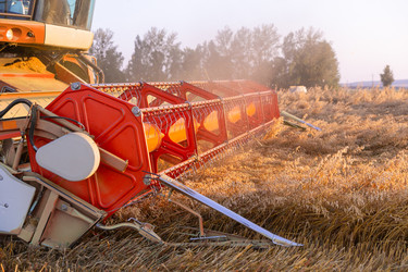 Similar image 22231380