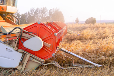 Similar image 22231381