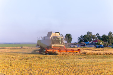 Similar image 22231382