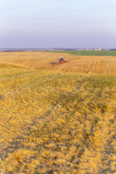 Similar image 22231383