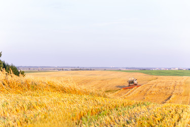 Similar image 22231384