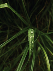 Similar image 22229671