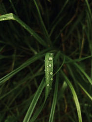 Similar image 22229672