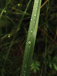 Similar image 22229673