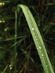 Similar image 22229674