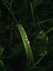 Similar image 22229675