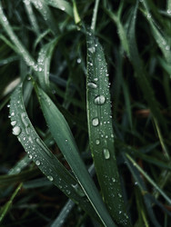 Similar image 22229677