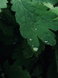 Similar image 22229678