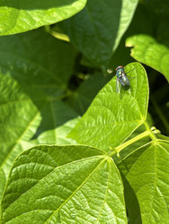 Similar image 22229679