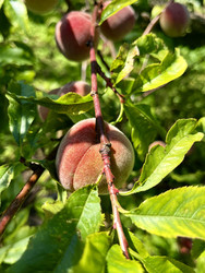 Similar image 22229682