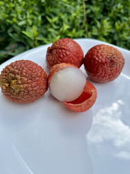 Similar image 22229684