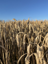 Similar image 22229686