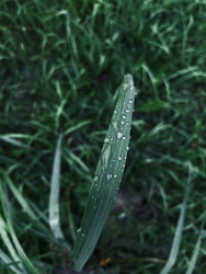 Similar image 22229688