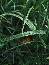 Similar image 22229689