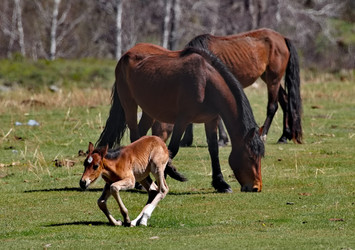 Similar image 22233090