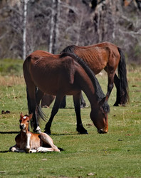 Similar image 22233091