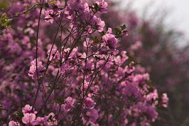 Similar image 22231313