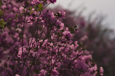 Similar image 22231314