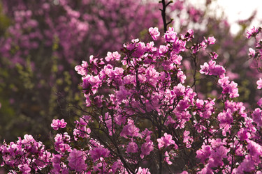 Similar image 22231315