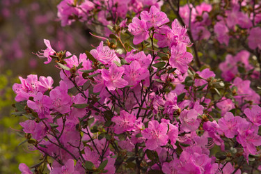 Similar image 22231317