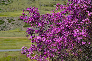 Similar image 22231318