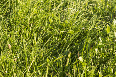 Similar image 22233358