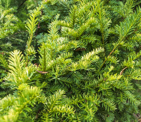 Similar image 22233359