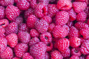 Similar image 22233361