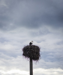 Similar image 22233362