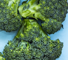 Similar image 22233374