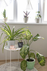 Similar image 22233378